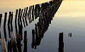 Reflections 